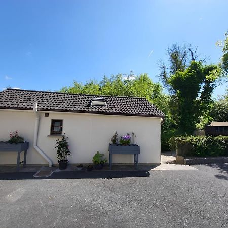 Oak Cottage 3 Km From Rock Of Cashel Cashel  Zewnętrze zdjęcie