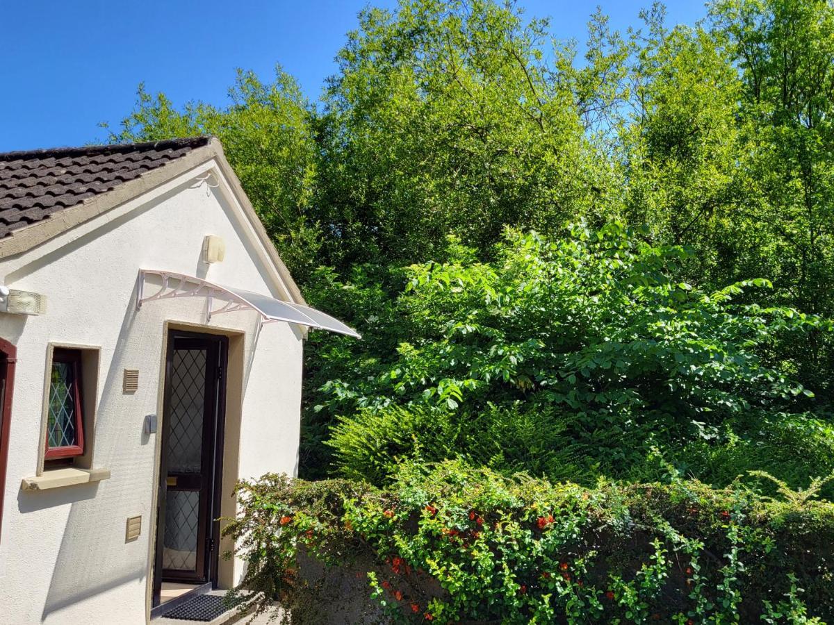 Oak Cottage 3 Km From Rock Of Cashel Cashel  Zewnętrze zdjęcie