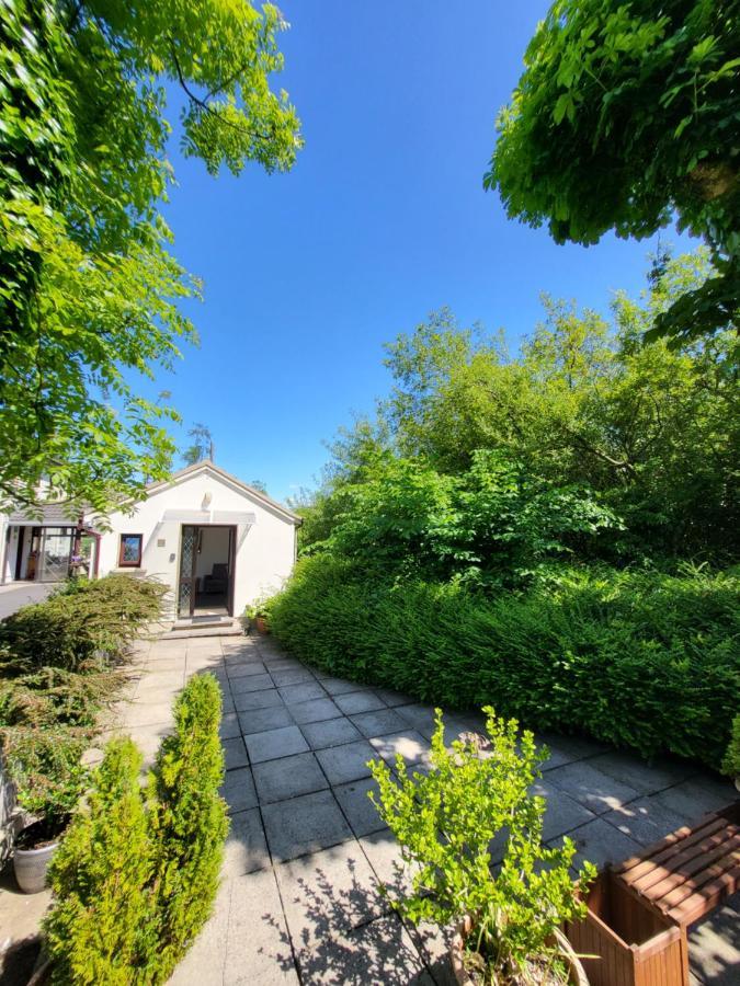 Oak Cottage 3 Km From Rock Of Cashel Cashel  Zewnętrze zdjęcie