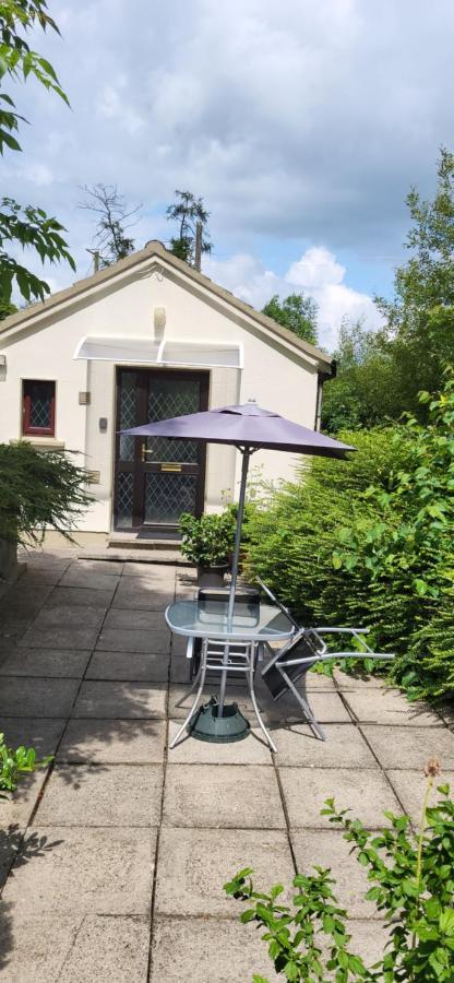 Oak Cottage 3 Km From Rock Of Cashel Cashel  Zewnętrze zdjęcie